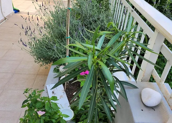 House Rosi In Rodos Appartement *