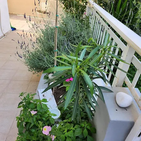 House Rosi In Rodos 公寓 *